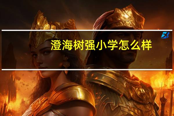 澄海树强小学怎么样