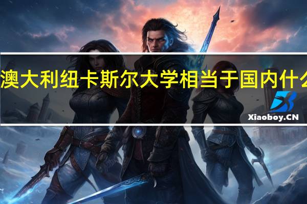 澳大利纽卡斯尔大学相当于国内什么大学