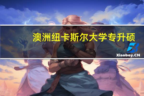 澳洲纽卡斯尔大学专升硕