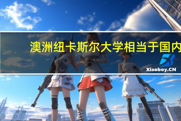 澳洲纽卡斯尔大学相当于国内