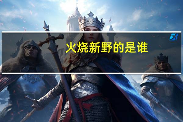 火烧新野的是谁
