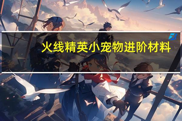 火线精英小宠物进阶材料