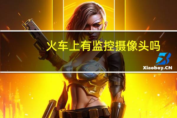 火车上有监控摄像头吗