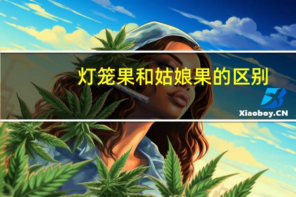 灯笼果和姑娘果的区别