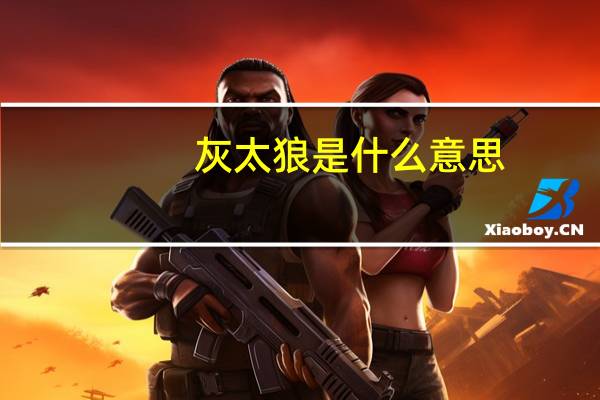 灰太狼是什么意思