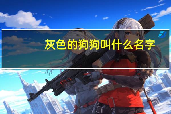 灰色的狗狗叫什么名字