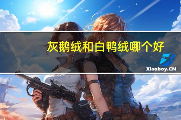 灰鹅绒和白鸭绒哪个好