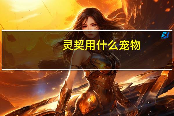 灵契用什么宠物