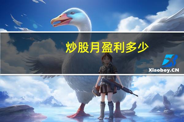 炒股月盈利多少