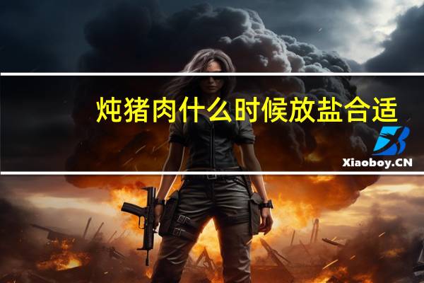 炖猪肉什么时候放盐合适