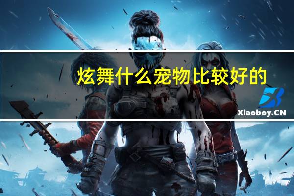 炫舞什么宠物比较好的