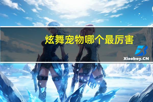 炫舞宠物哪个最厉害