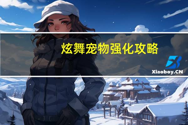 炫舞宠物强化攻略