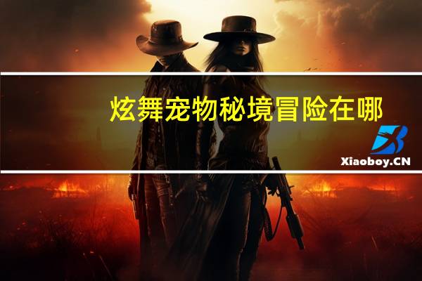 炫舞宠物秘境冒险在哪