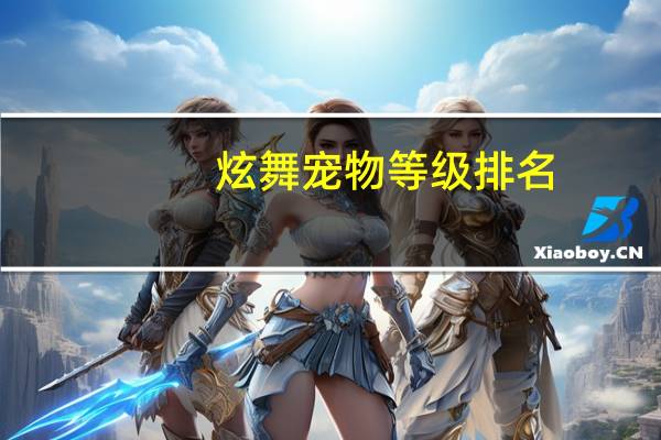 炫舞宠物等级排名