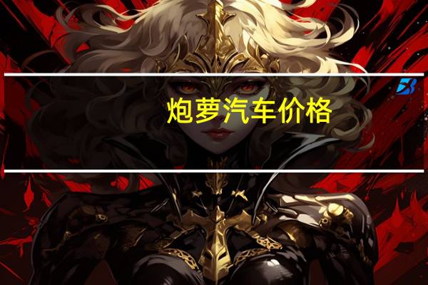 炮萝汽车价格