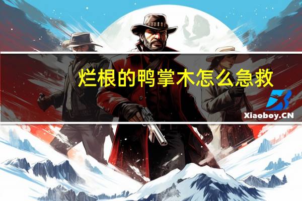 烂根的鸭掌木怎么急救