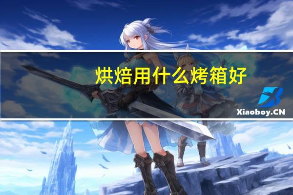 烘焙用什么烤箱好