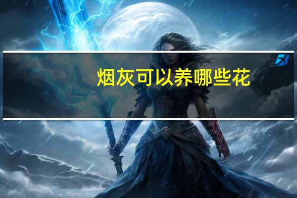 烟灰可以养哪些花