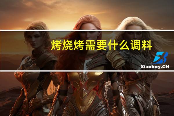 烤烧烤需要什么调料