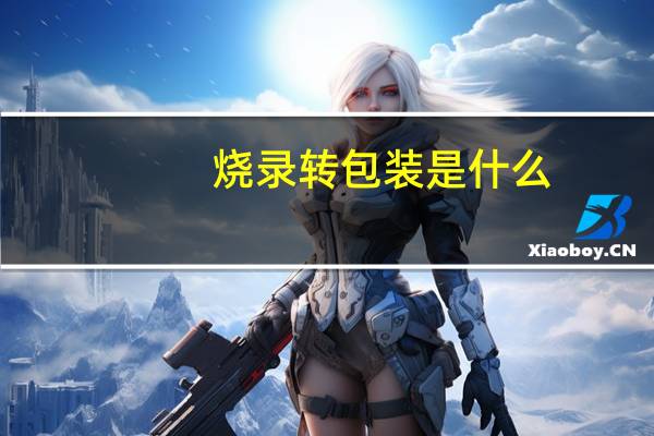 烧录转包装是什么