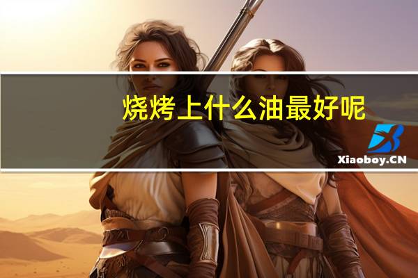 烧烤上什么油最好呢