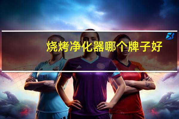 烧烤净化器哪个牌子好