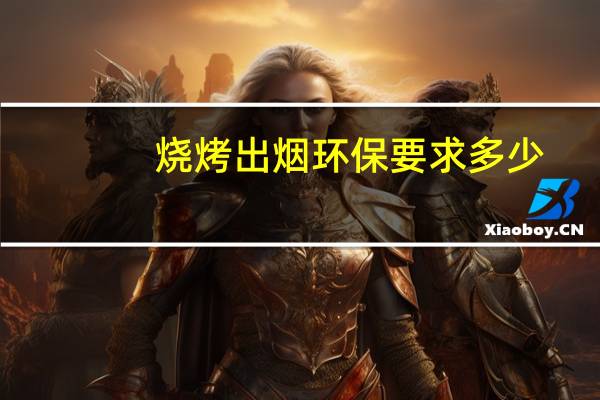 烧烤出烟环保要求多少