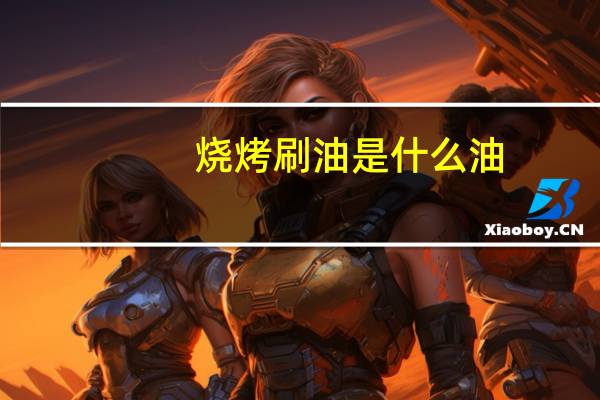 烧烤刷油是什么油