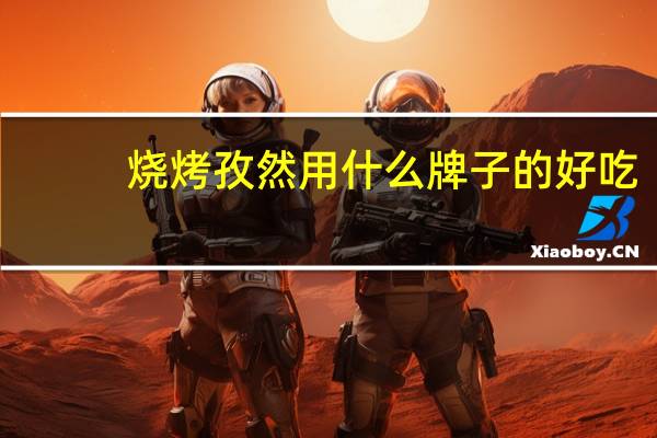 烧烤孜然用什么牌子的好吃