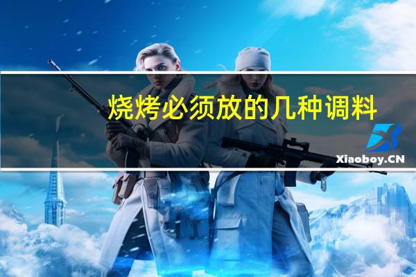 烧烤必须放的几种调料