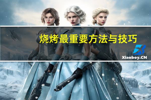 烧烤最重要方法与技巧
