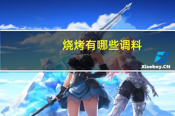 烧烤有哪些调料