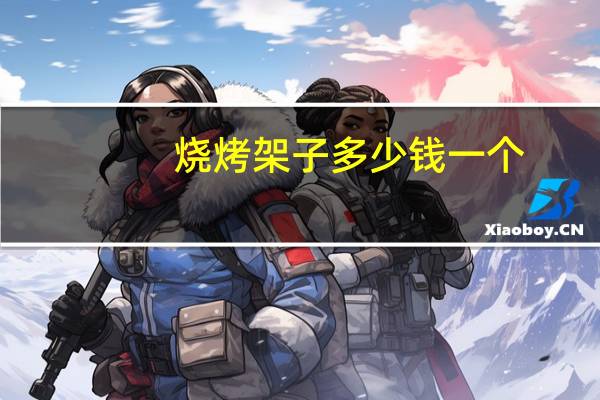 烧烤架子多少钱一个