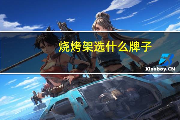 烧烤架选什么牌子