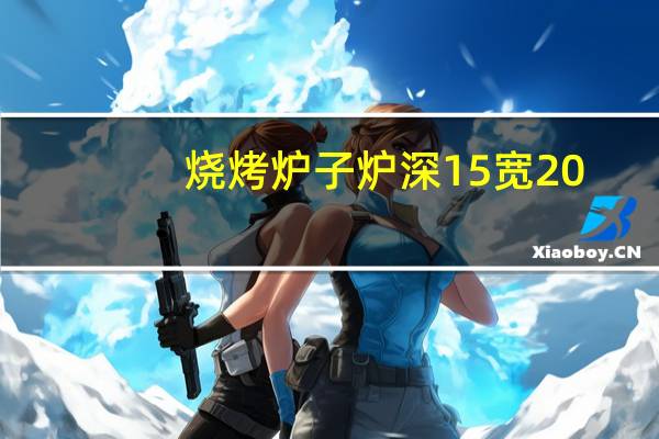 烧烤炉子炉深15宽20