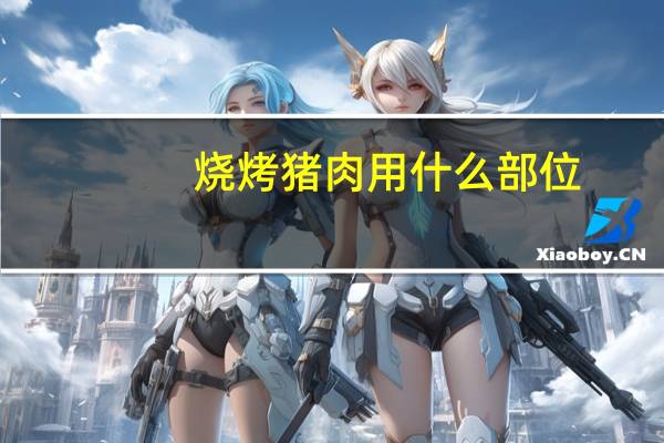 烧烤猪肉用什么部位