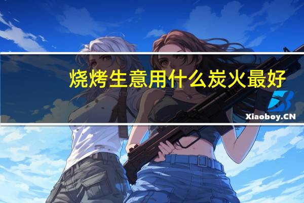烧烤生意用什么炭火最好