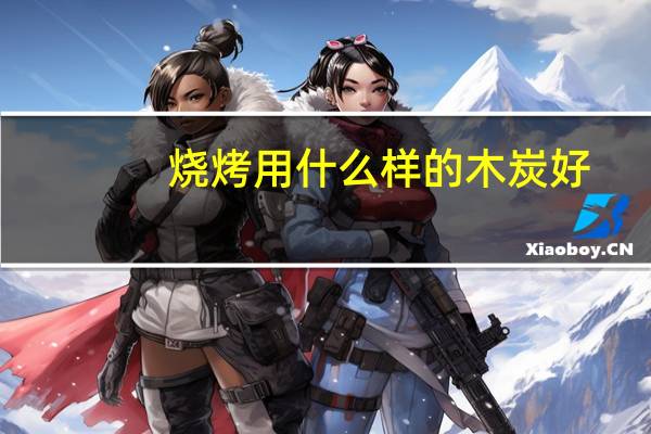 烧烤用什么样的木炭好