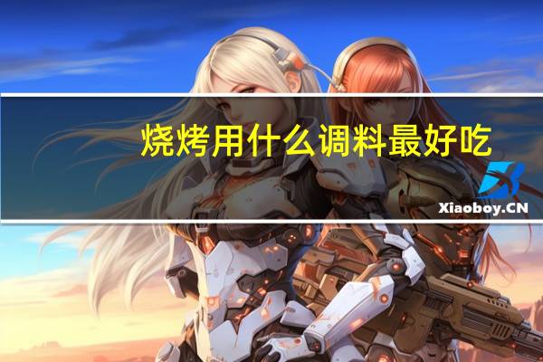 烧烤用什么调料最好吃