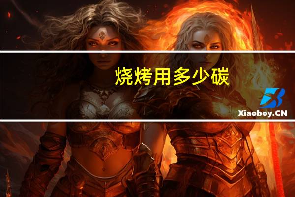烧烤用多少碳