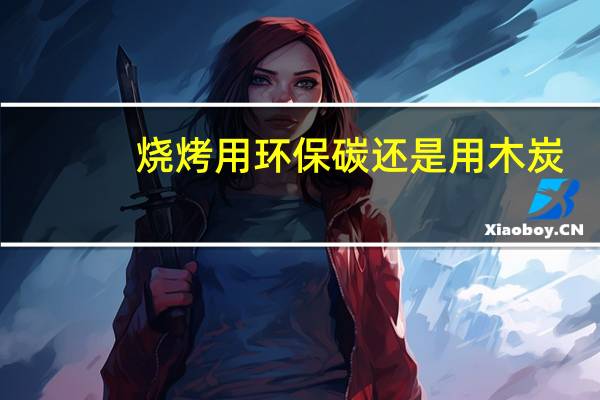 烧烤用环保碳还是用木炭