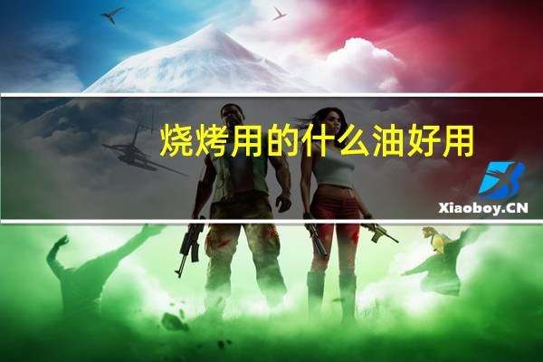 烧烤用的什么油好用