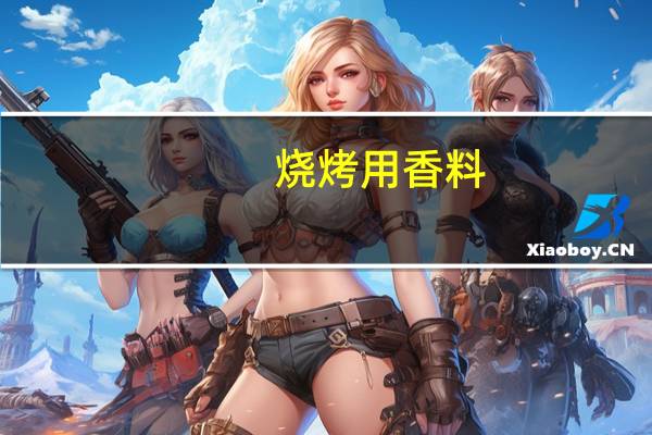 烧烤用香料