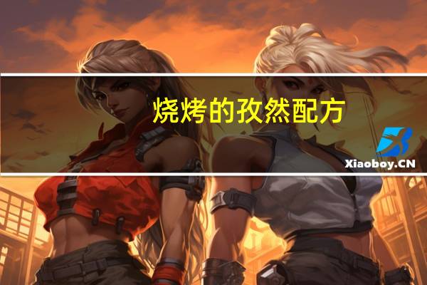 烧烤的孜然配方