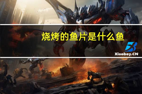 烧烤的鱼片是什么鱼