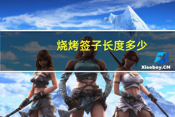 烧烤签子长度多少