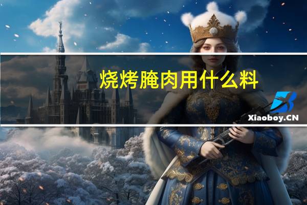 烧烤腌肉用什么料