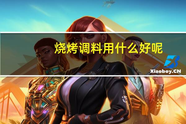 烧烤调料用什么好呢
