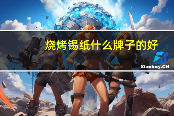 烧烤锡纸什么牌子的好